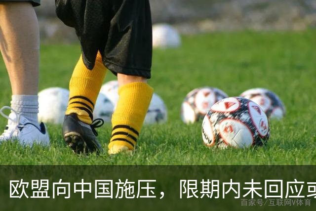 欧盟向中国施压，限期内未回应或将采取措施